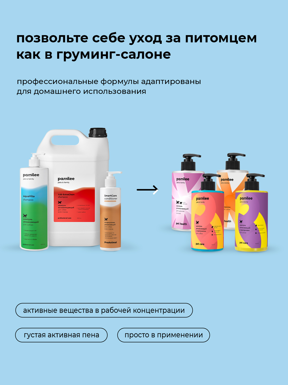 Шампунь для собак и кошек Pamilee с хлоргексидином антибактериальный против зуда и запаха - фото 8