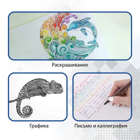 Ручка капиллярная Brauberg 12 шт.