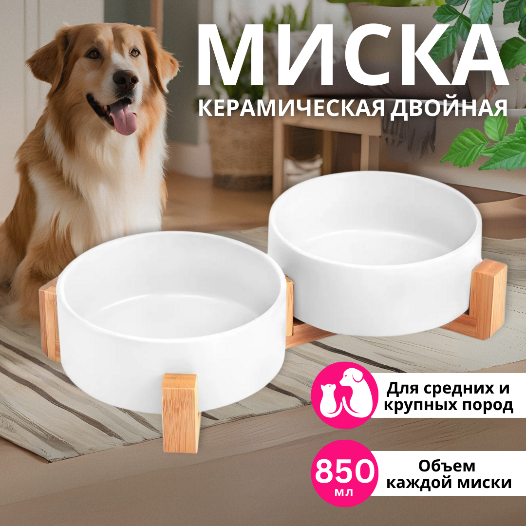Миска двойная керамическая ZDK ZooWell Aura 850 мл (на подставке) цвет белый - фото 1