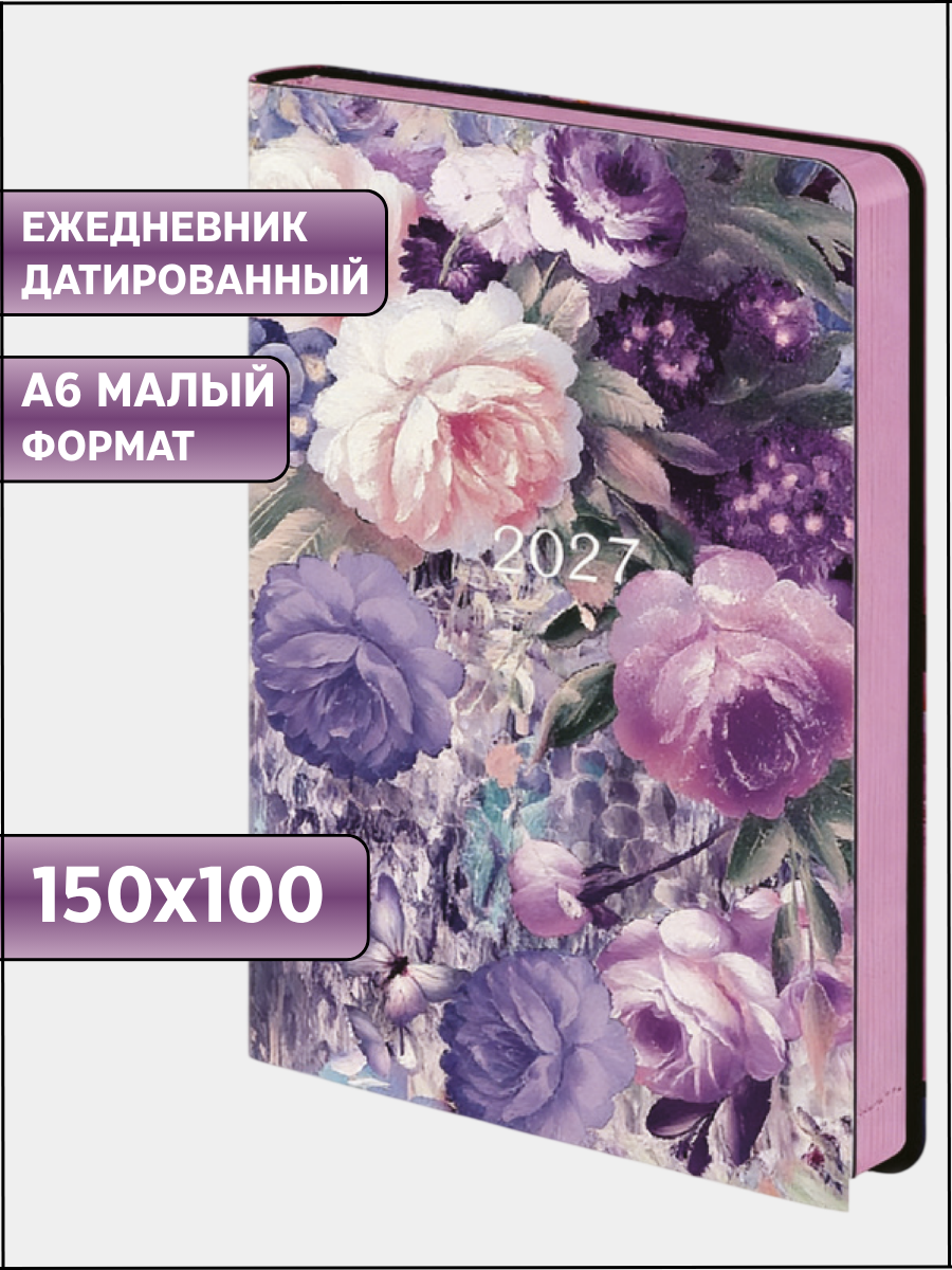 Ежедневник AXLER датированный 2027 А6 168 лист. - фото 1