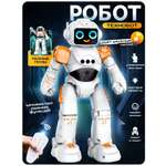 РУ IQ BOT