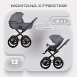 Коляска 2в1 Riko Basic Montana X Prestige серый