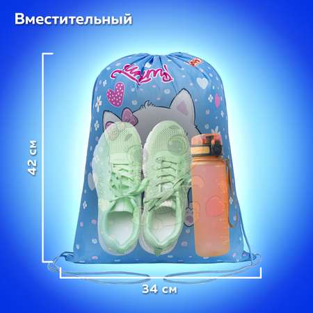 Сумка Пифагор