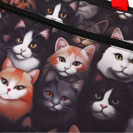 Папка с ручками Erhaft Котомания А4