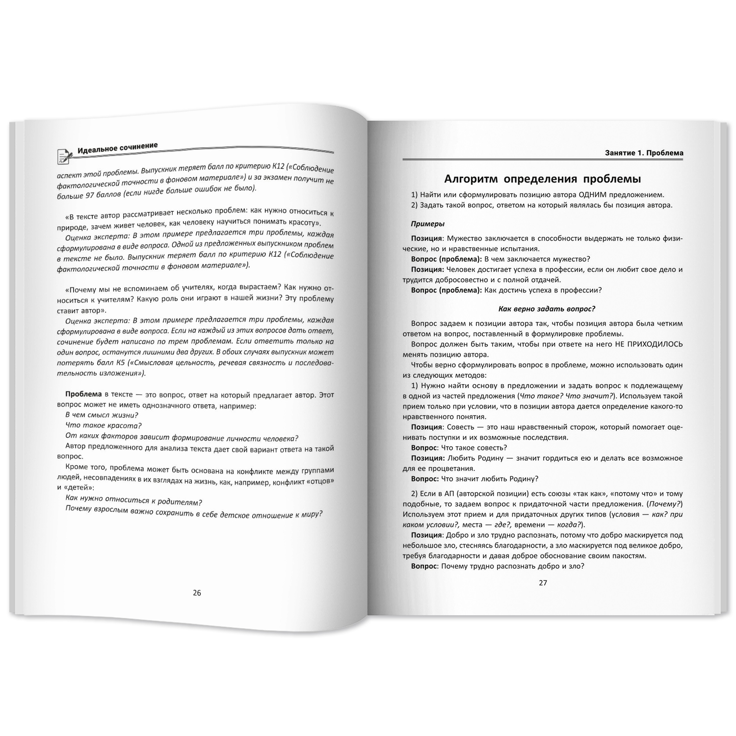 Книга Феникс Идеальное сочинение. Подготовка к ЕГЭ. Проблема - фото 15
