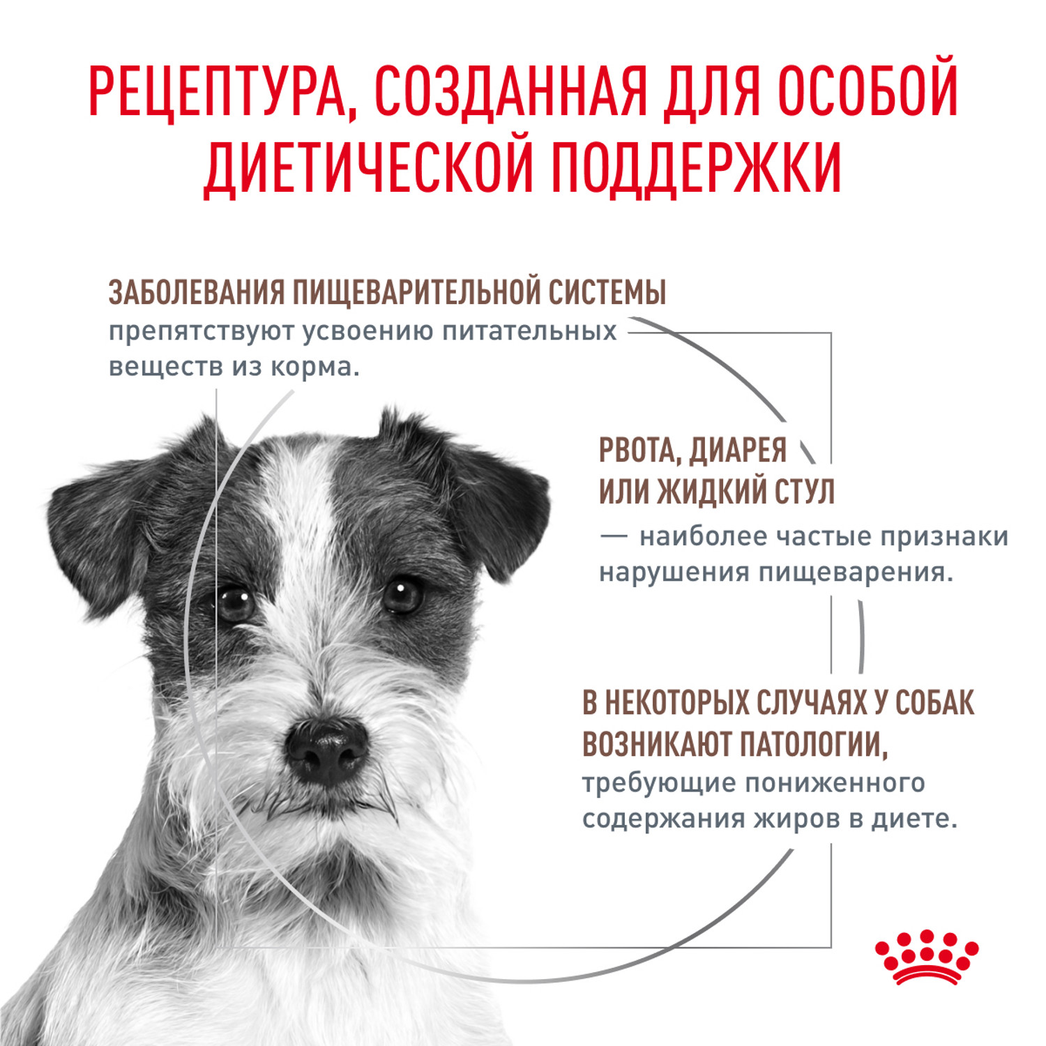Корм для собак ROYAL CANIN Gastrointestinal low fat мелких пород 1кг - фото 2
