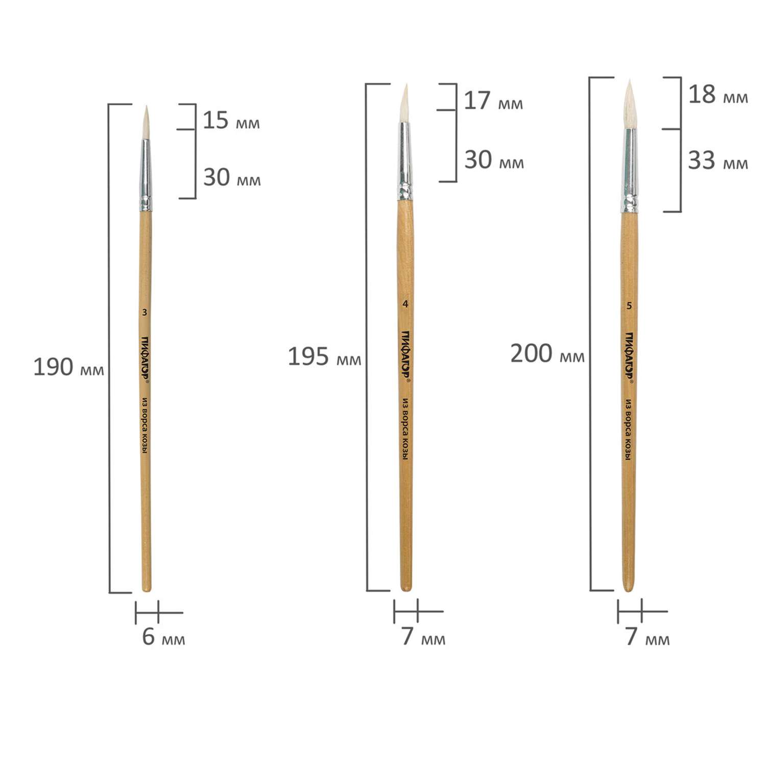 Кисть Пифагор 5 шт. (коза) - фото 3