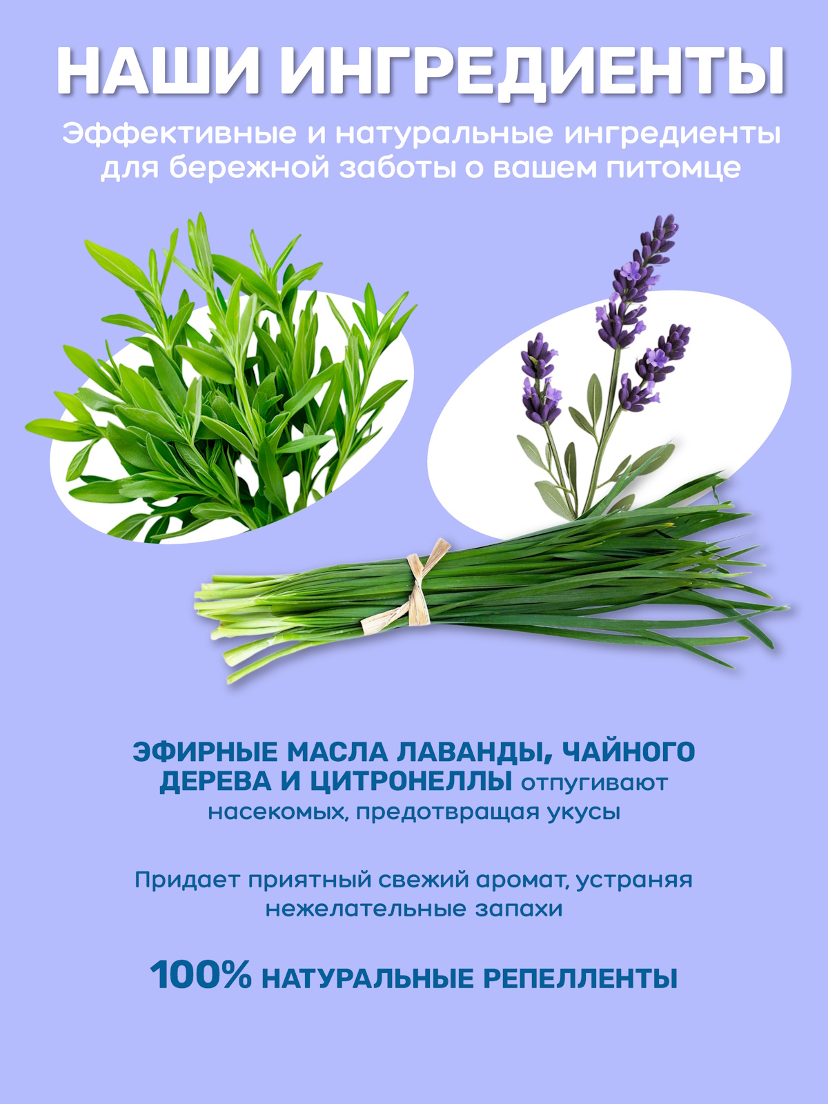 Спрей для собак и кошек ZOORIK репеллентный антипаразит 250 мл - фото 5