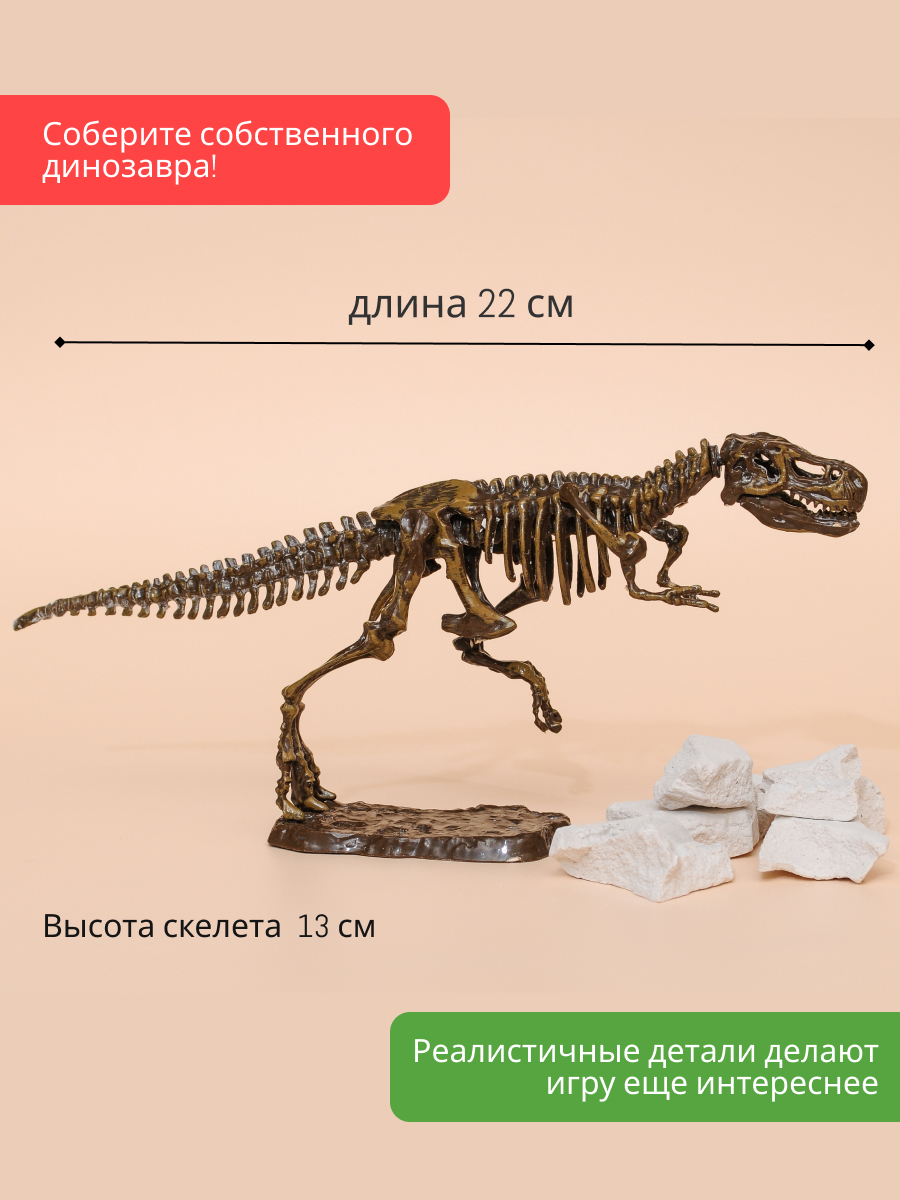 Набор для раскопок KONIK Science - фото 9