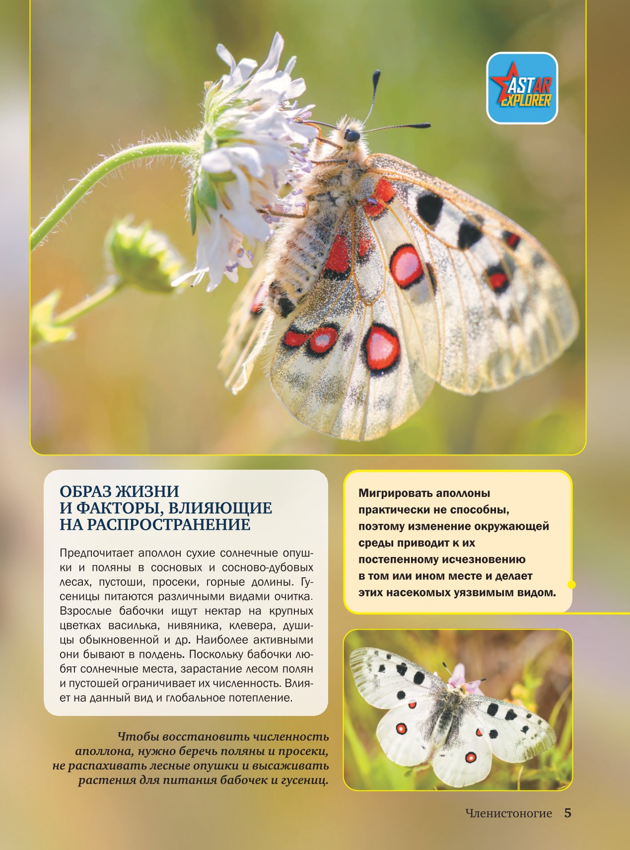 Энциклопедия АСТ Красная книга - фото 3