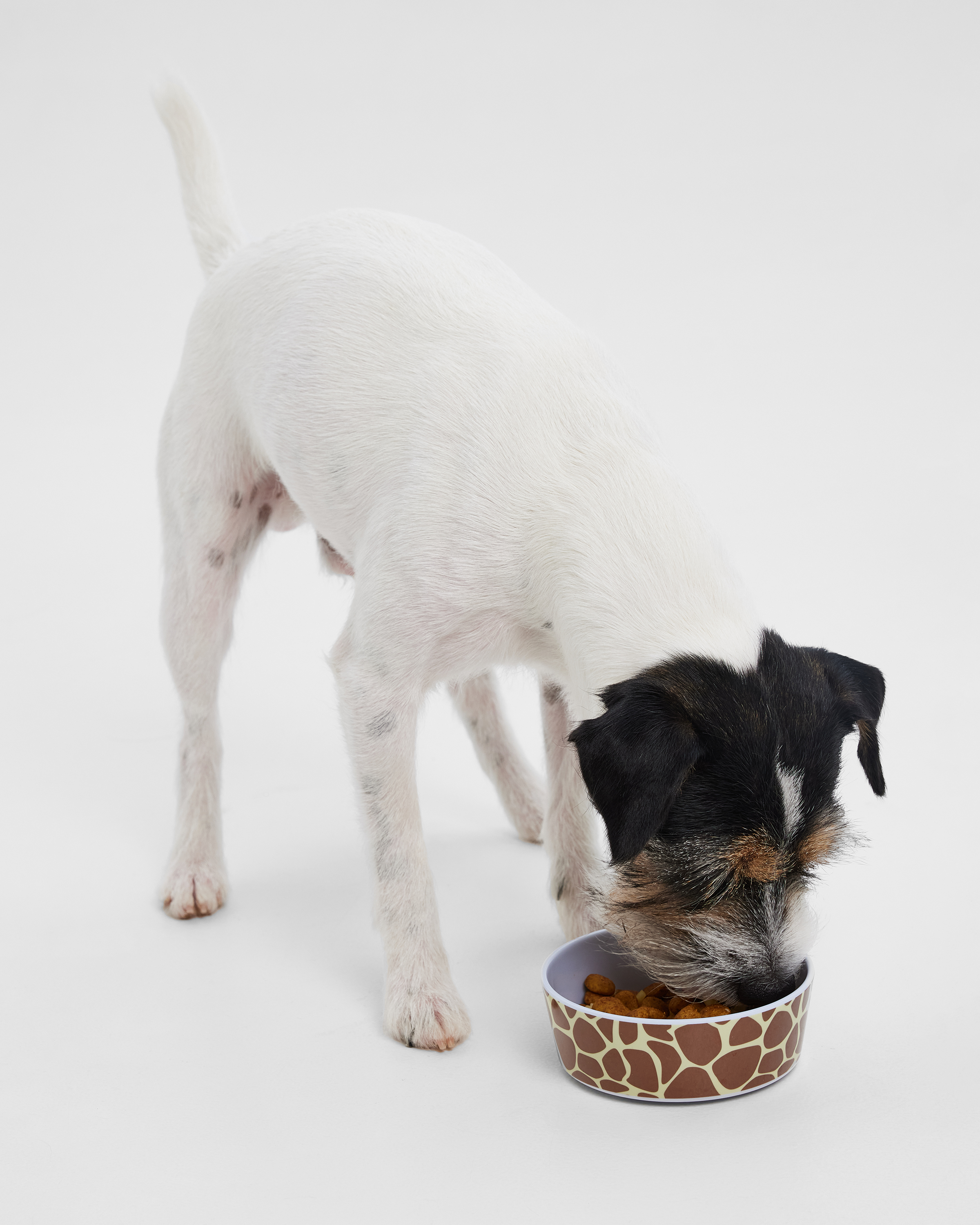 Миска для животного Barbaks Жираф 400мл меламин 13.4 4см - фото 3