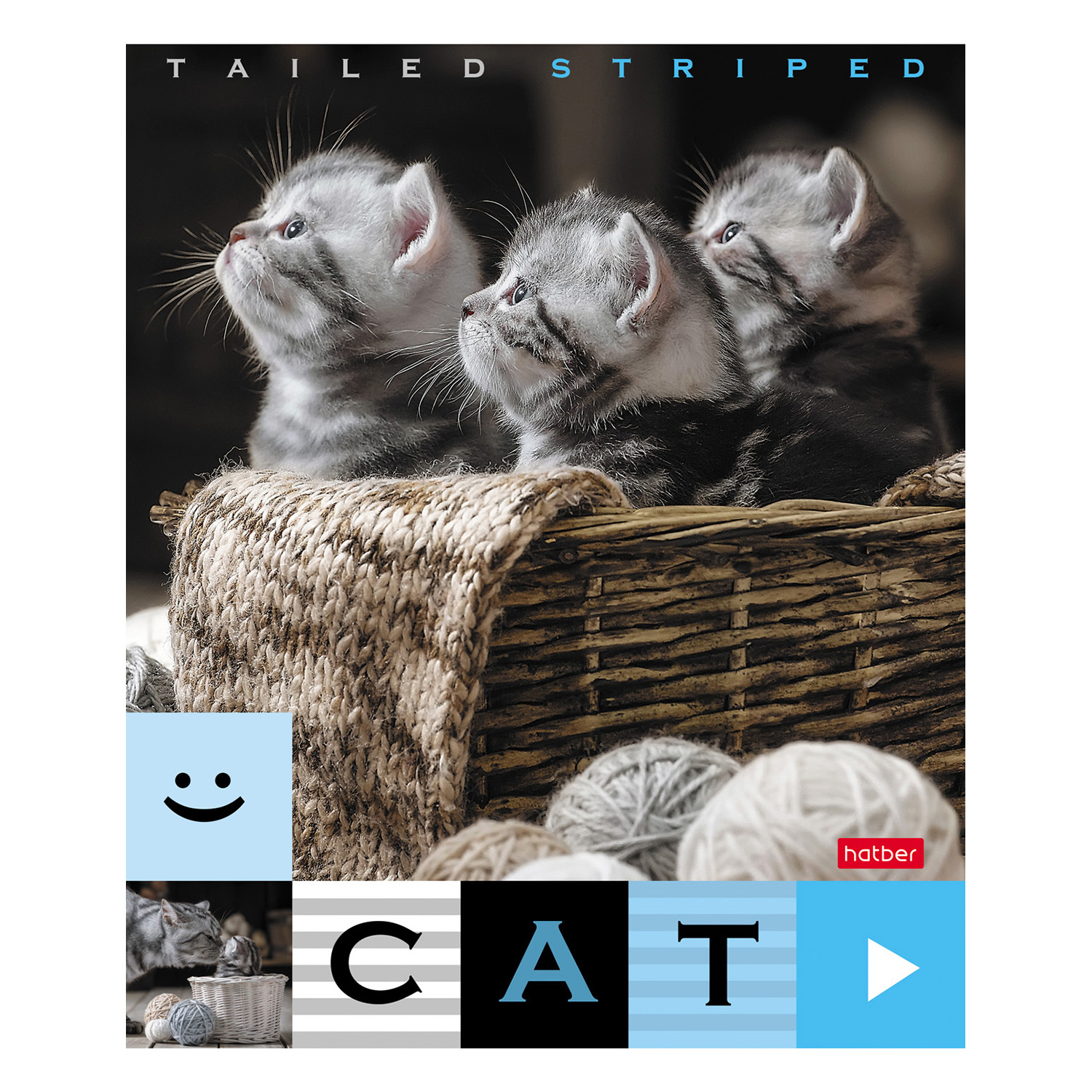 Общая тетрадь Hatber клетка 40 лист. в ассортименте - фото 2