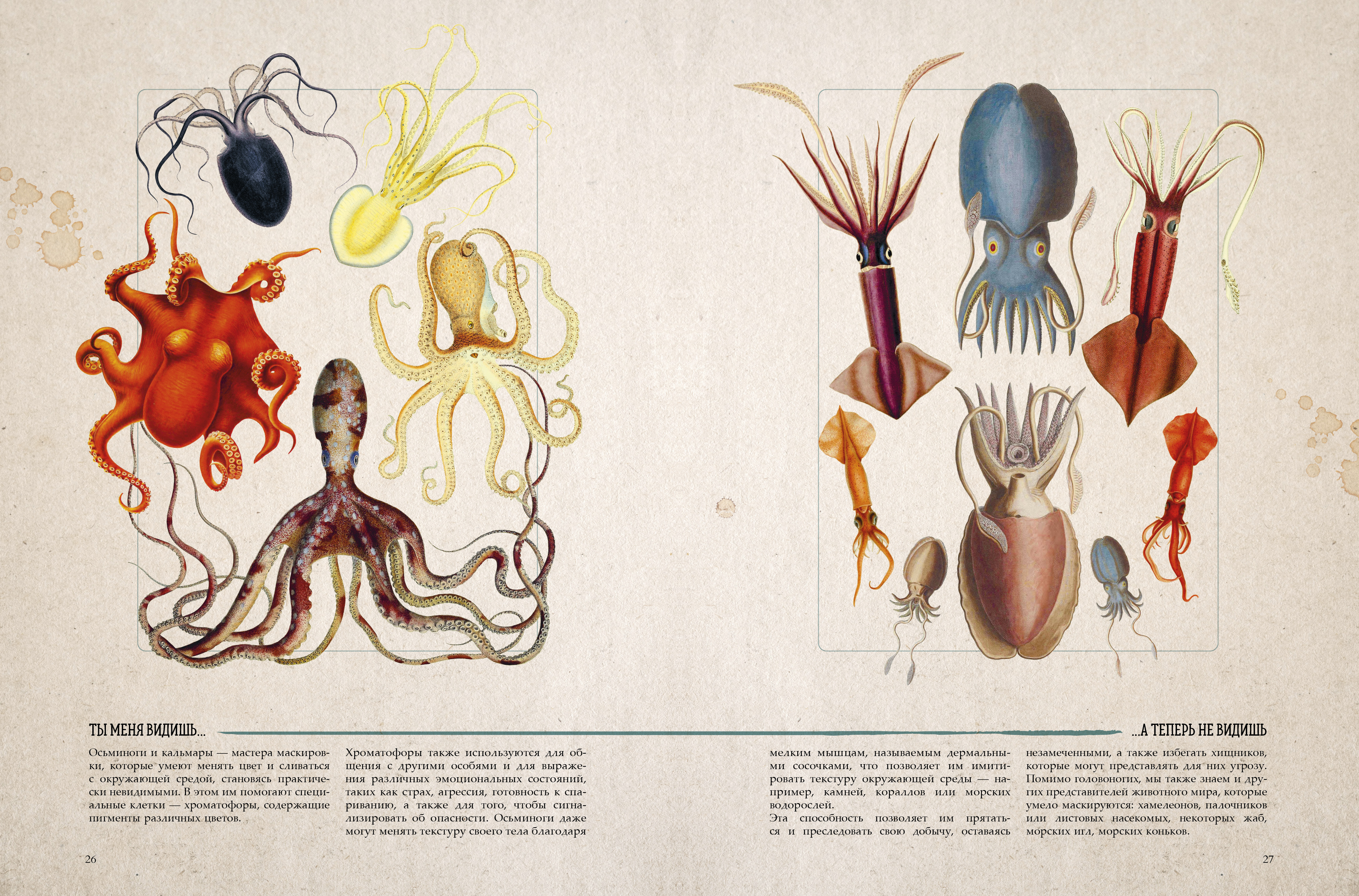 Книга Clever Удивительные энциклопедии - фото 4