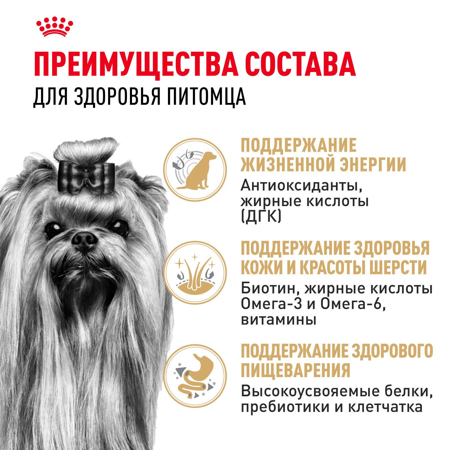Корм для собак ROYAL CANIN породы йоркширский терьер 8+ пожилые 500г - фото 3