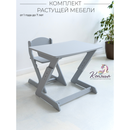 Комплект мебели Коняша