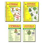 Карточки ТЦ Сфера Сфера картинок