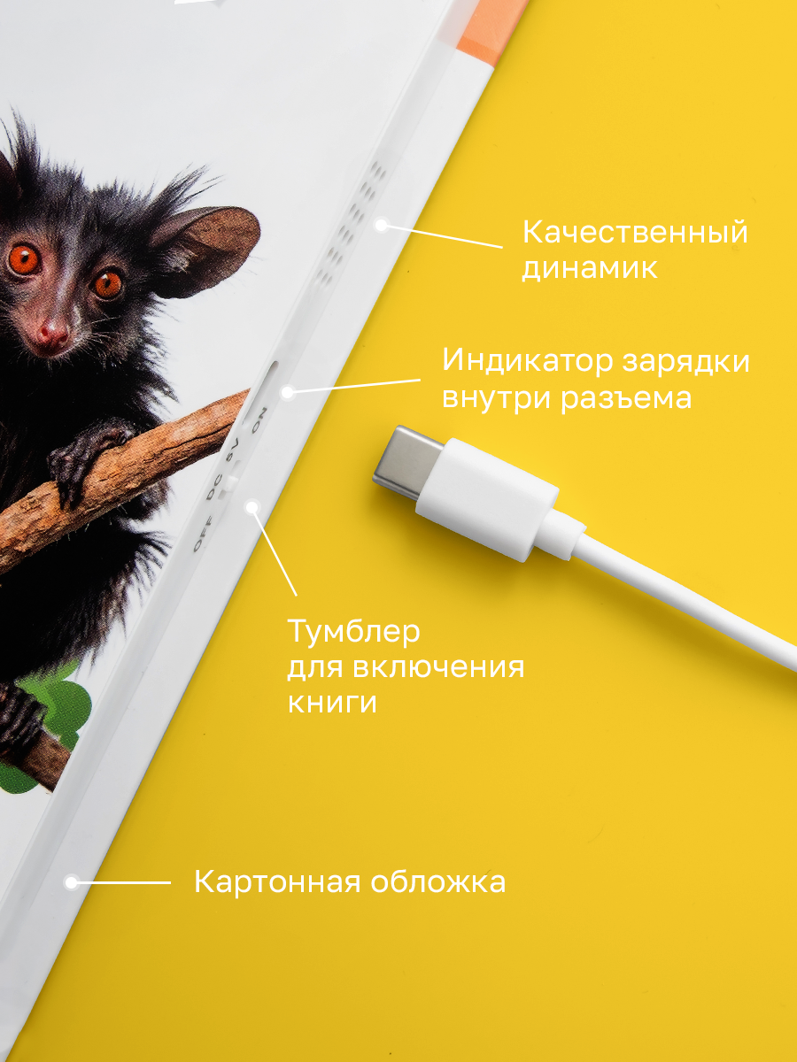 Говорящая книжка Нажималка BertToys Животные - фото 17
