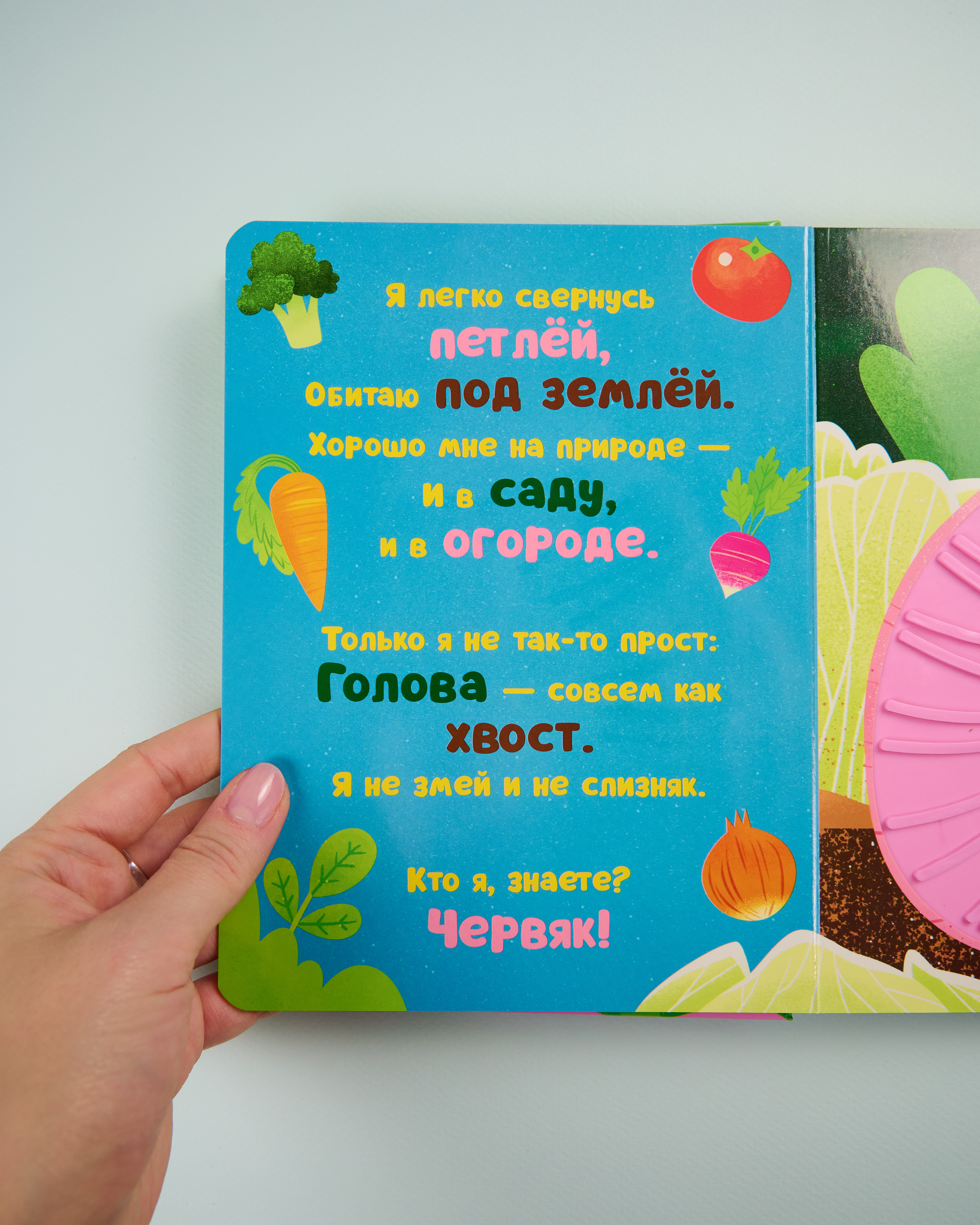 Тактильные книжки Clever Кто я? В саду/Хансен Д. - фото 6