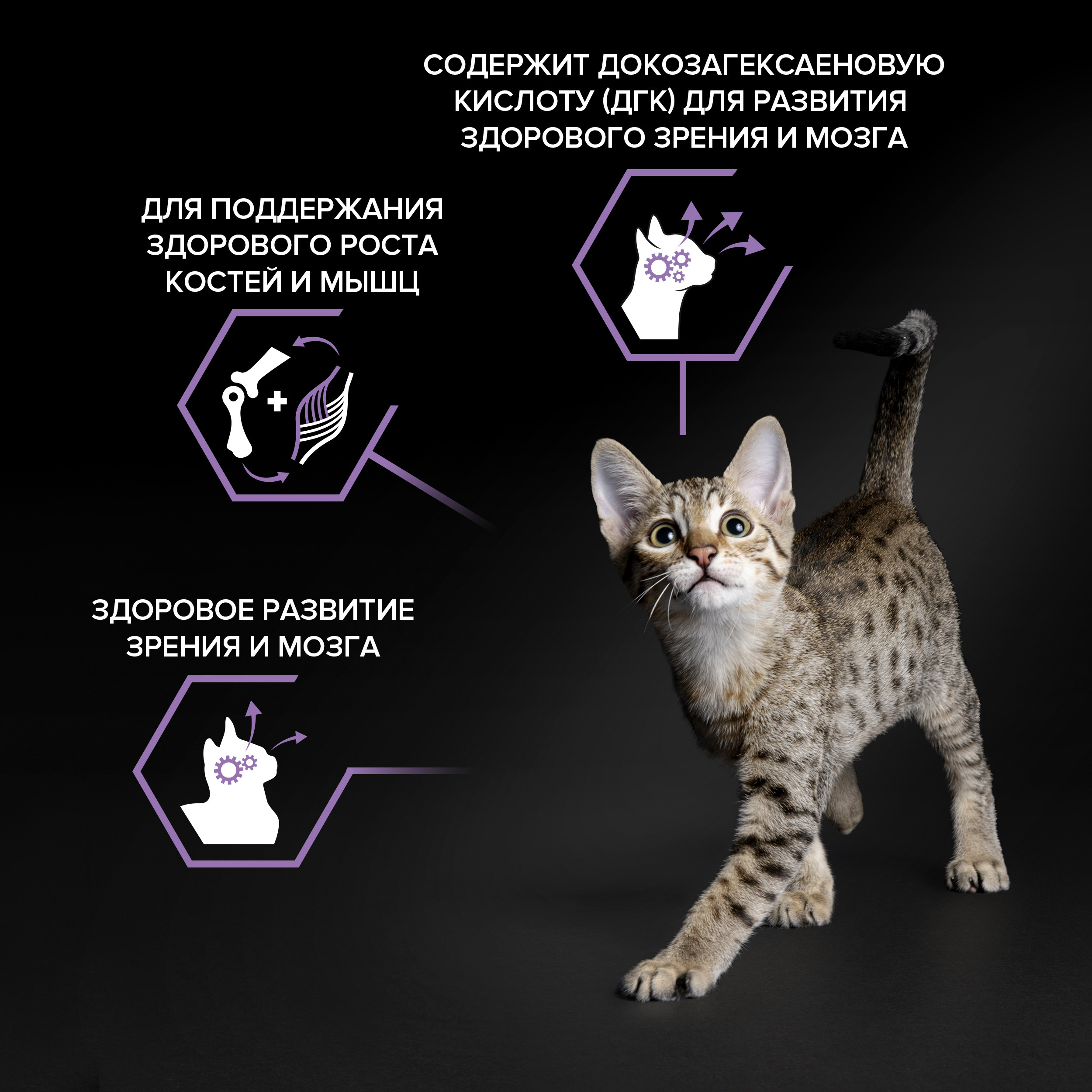 Корм сухой для котят PRO PLAN 10кг с курицей - фото 16