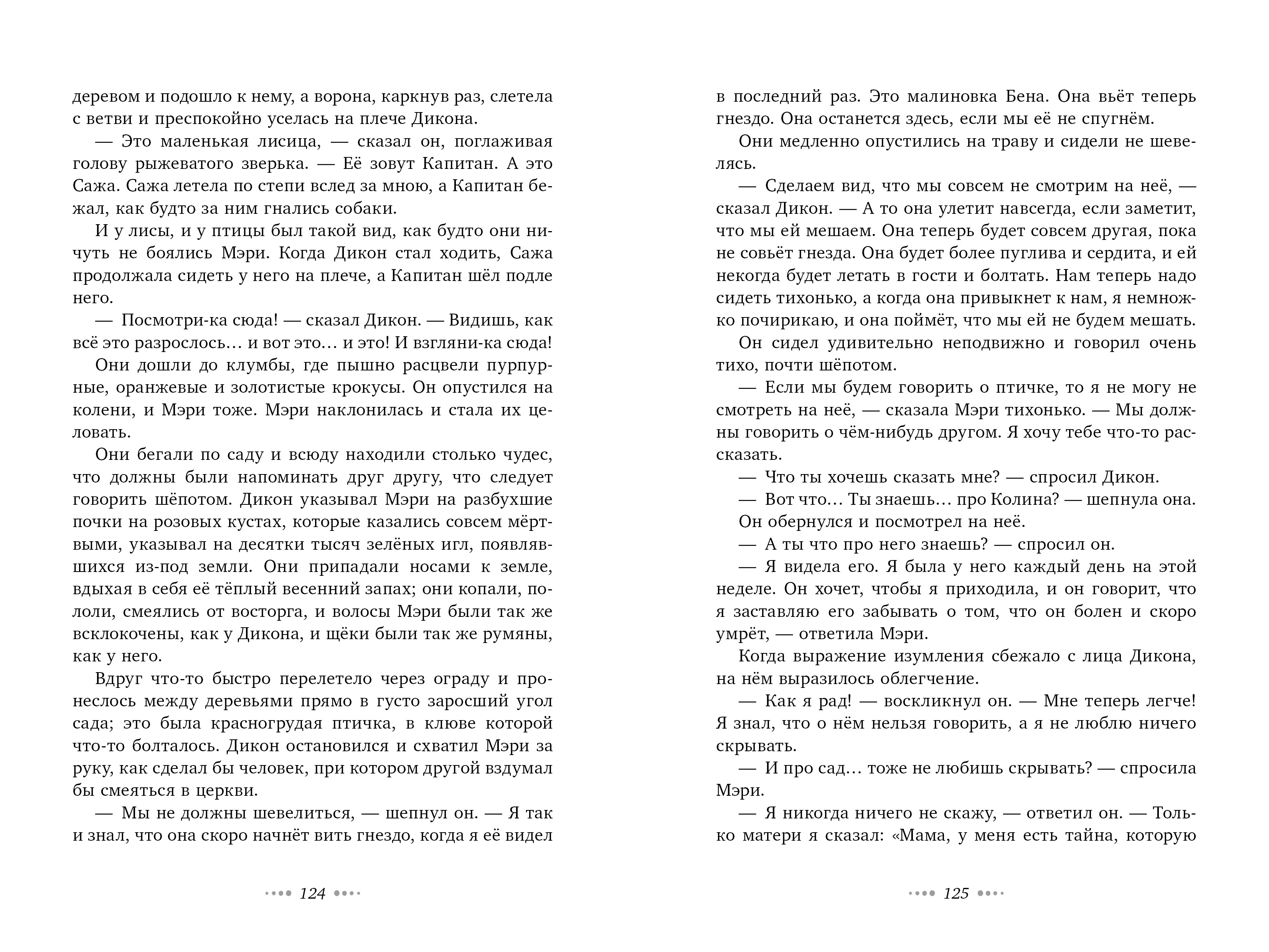 Книга Clever Таинственный сад - фото 6