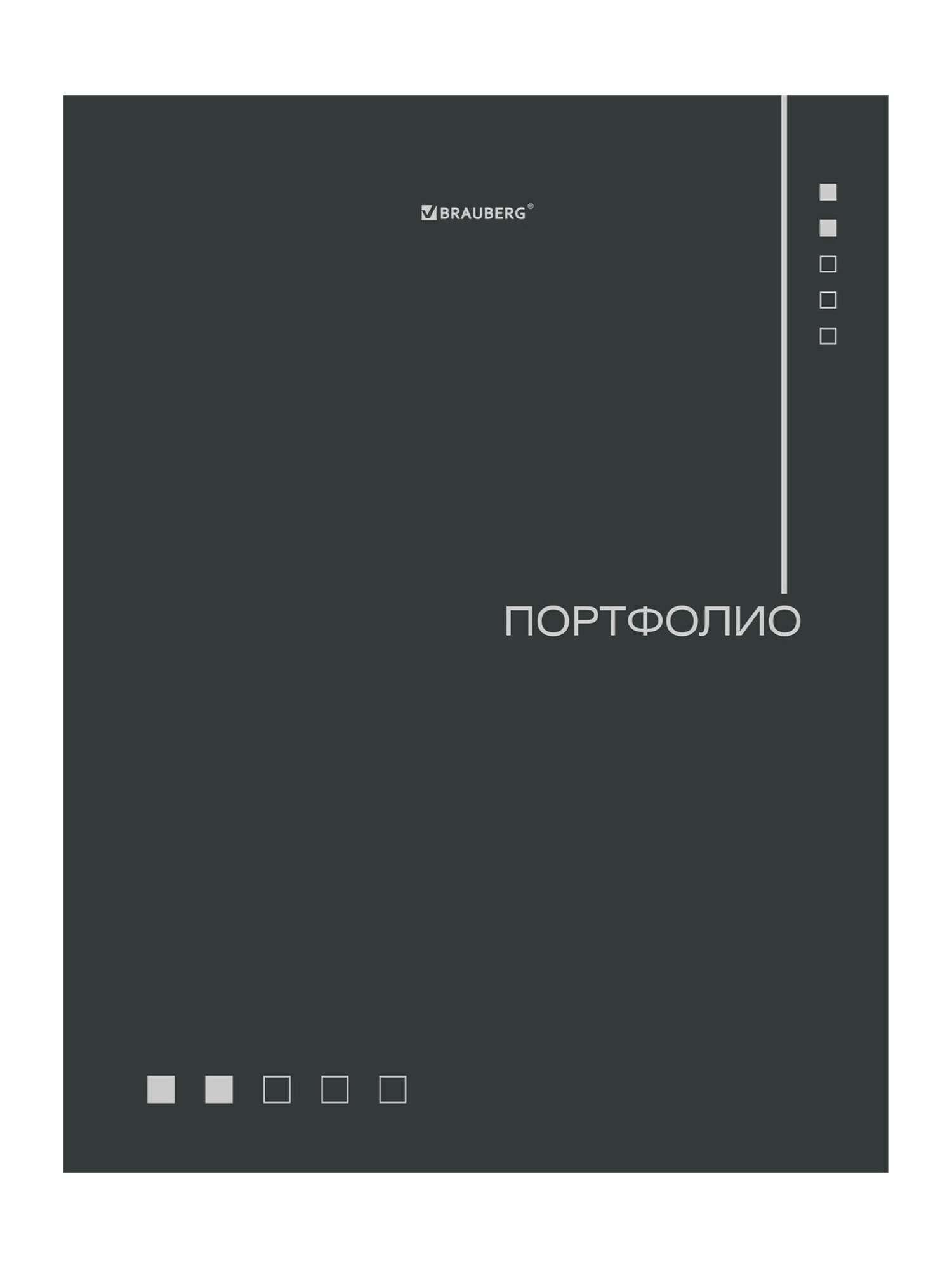 Портфолио школьника Brauberg папка А4 на кольцах 20 файлов для девочки и мальчика - фото 9