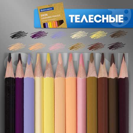 Карандаши цветные Brauberg 60 шт.