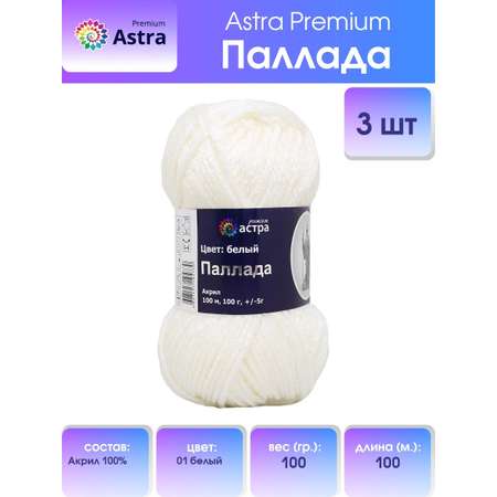 Пряжа Astra Premium Паллада акриловая 100 г 100 м 01 белый 3 мотка