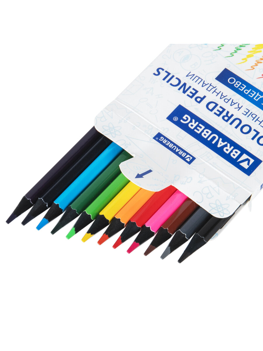 Карандаши цветные Brauberg 12 шт. - фото 6