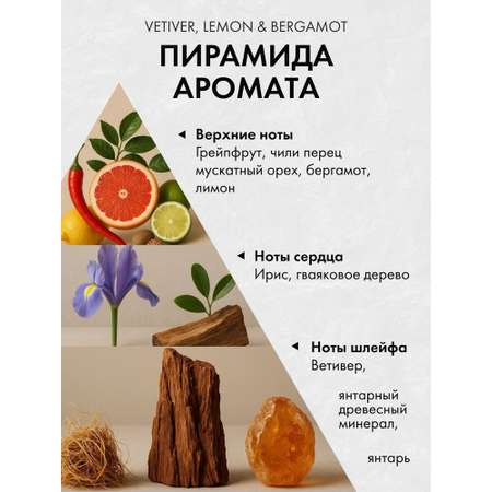 Диффузор с сухоцветами в Премиум тубусе Accents Vetiver, Lemon & Bergamot