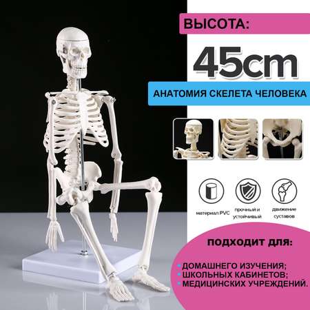 Наглядное пособие Sima-Land
