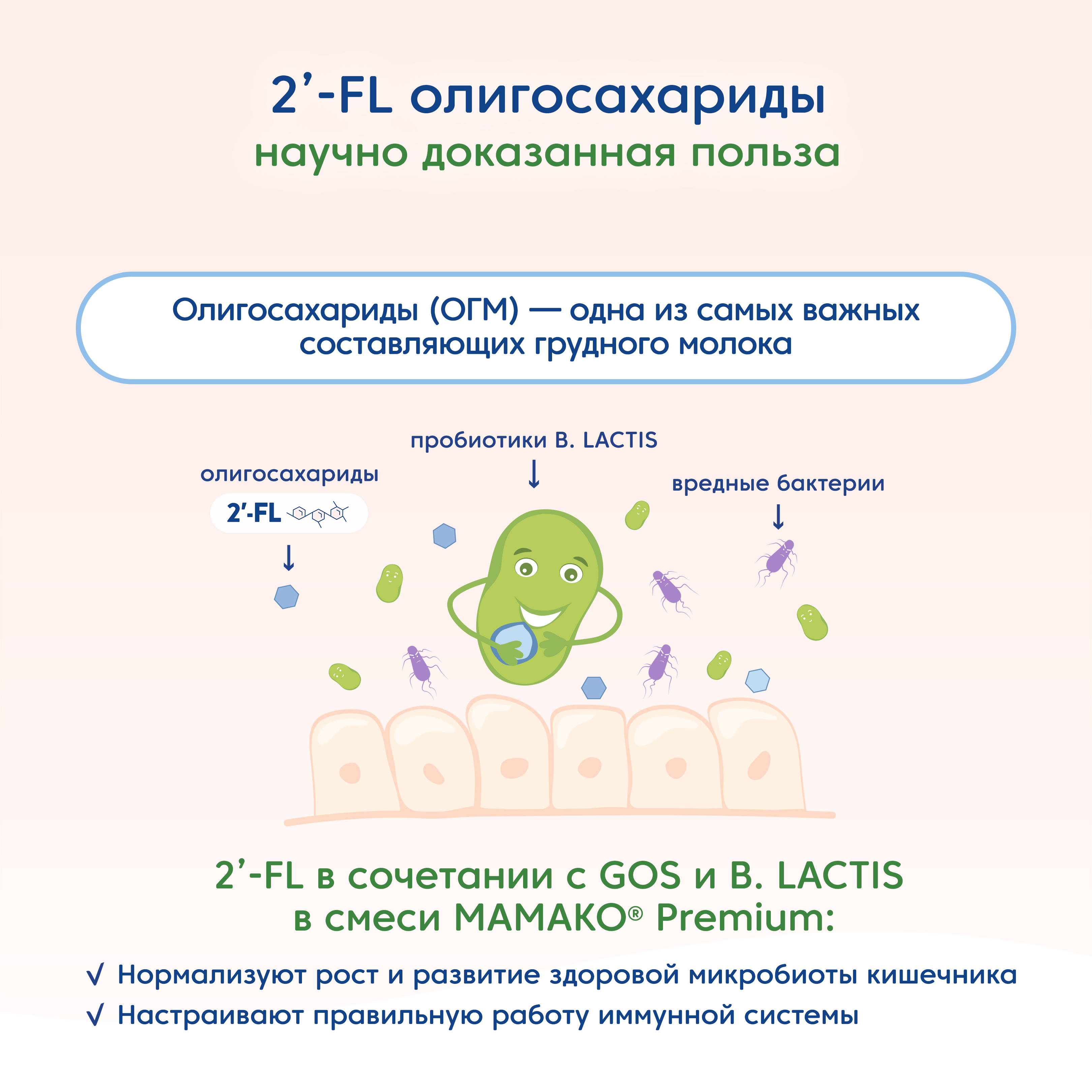 Смесь Мамако 1 Premium на козьем молоке 400г с 0месяцев - фото 5