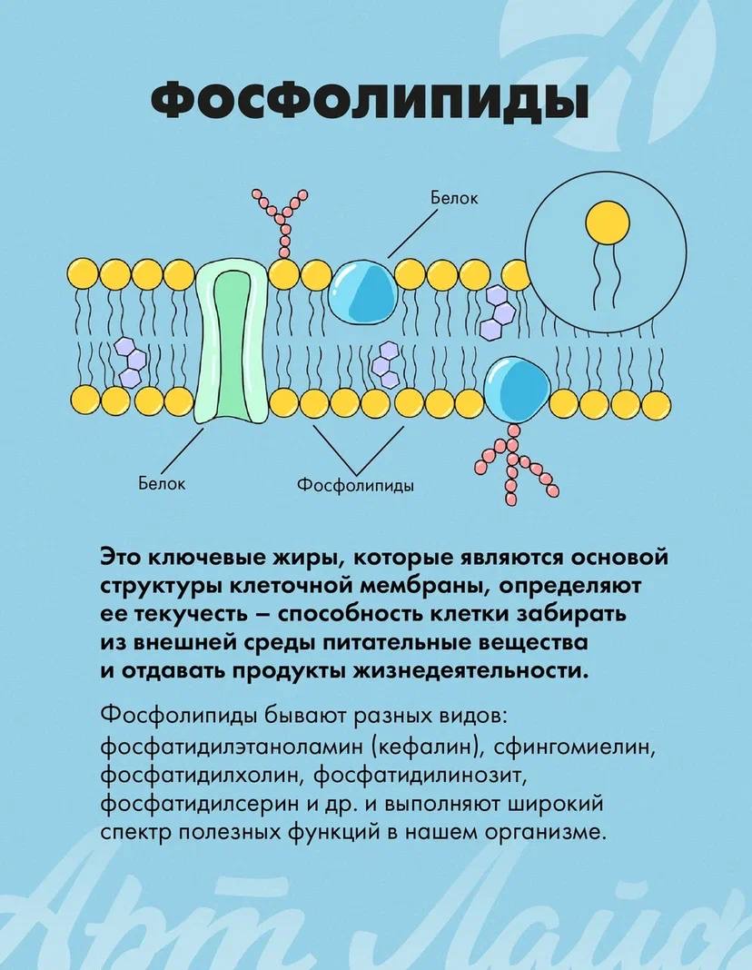 Витаминный комплекс Арт Лайф Лецитин-гель с витаминами - фото 7
