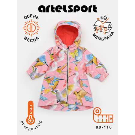 Ветровка Artel