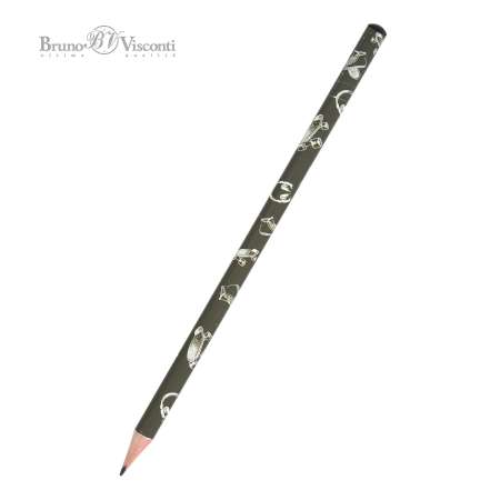 Карандаши чернографитные Bruno Visconti 5 шт.