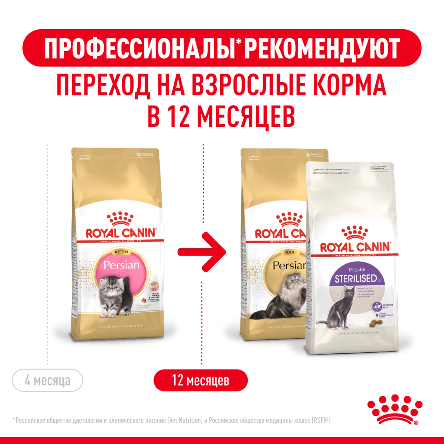 Корм сухой для котят ROYAL CANIN Persian 400г персидских - фото 5