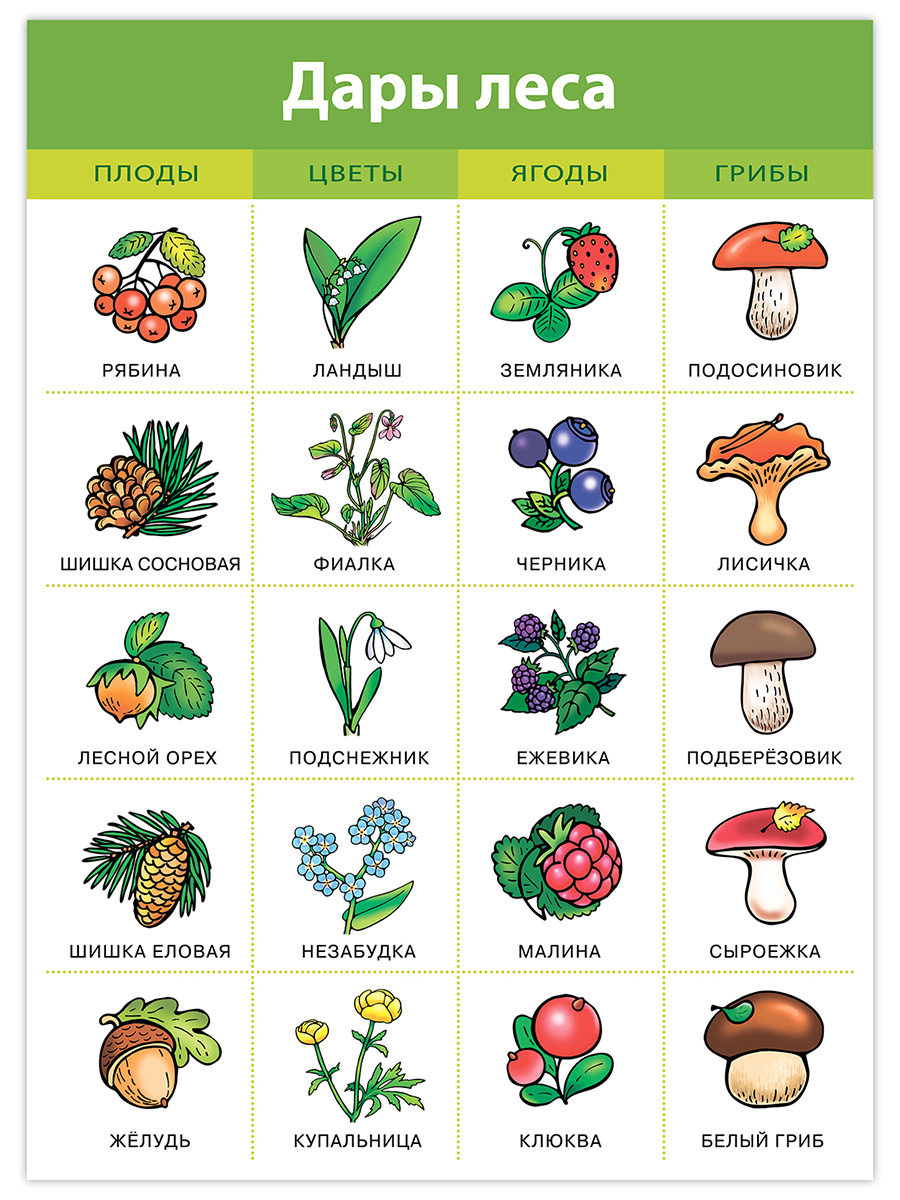 Настольная игра Дрофа-Медиа - фото 4