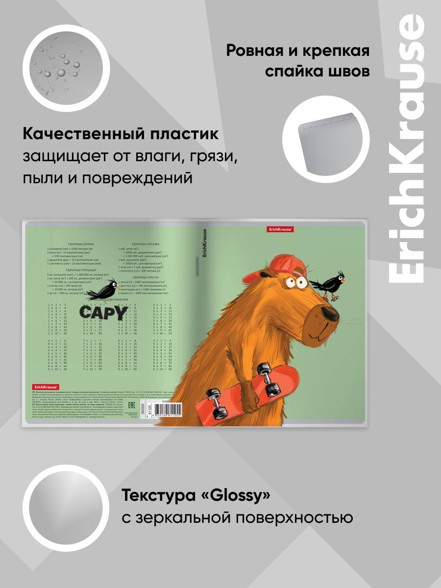Обложка ErichKrause 34.7 x 21.2 см 12 шт. - фото 5