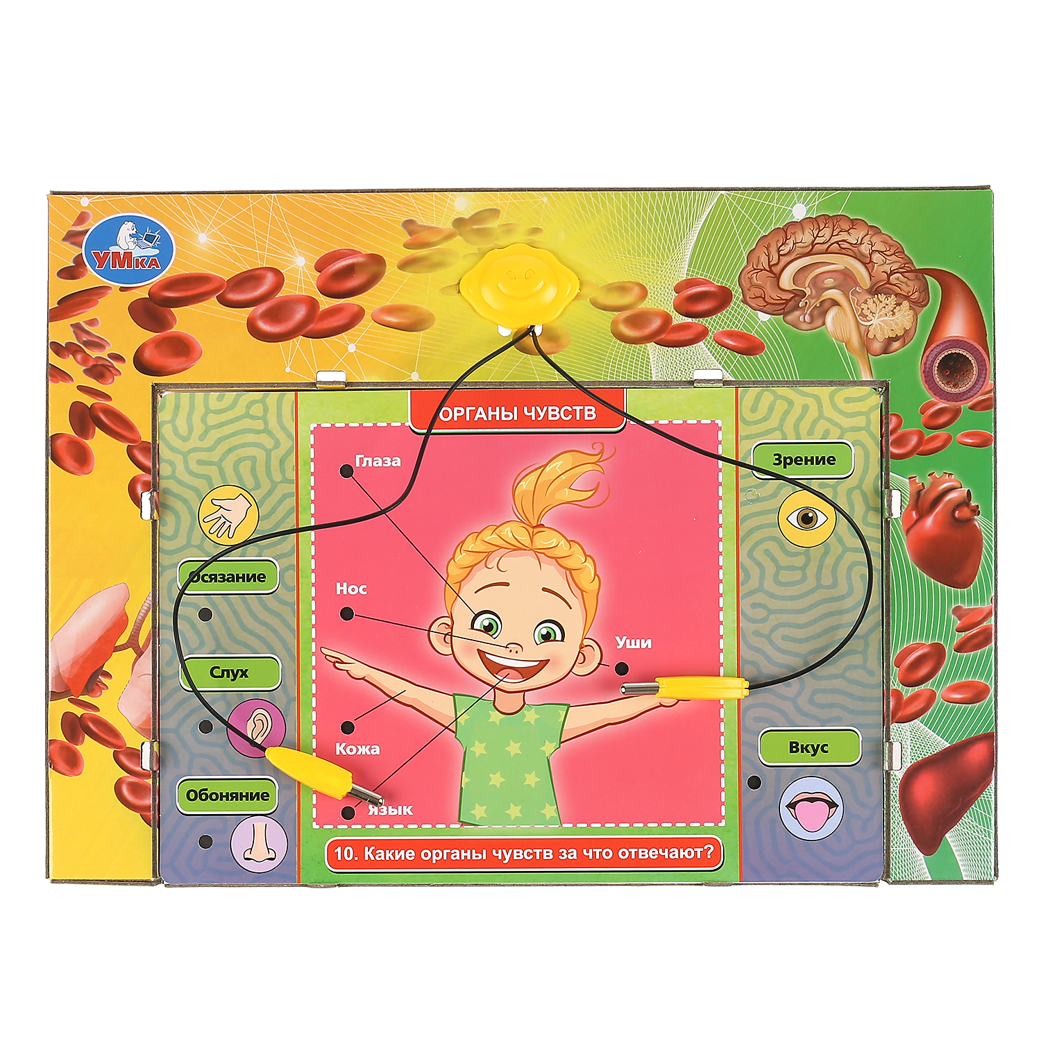 Настольная игра УМка Электровикторина - фото 4