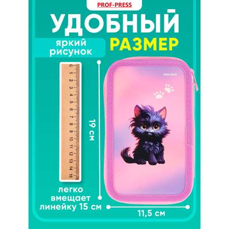 Пенал книжка Prof-Press