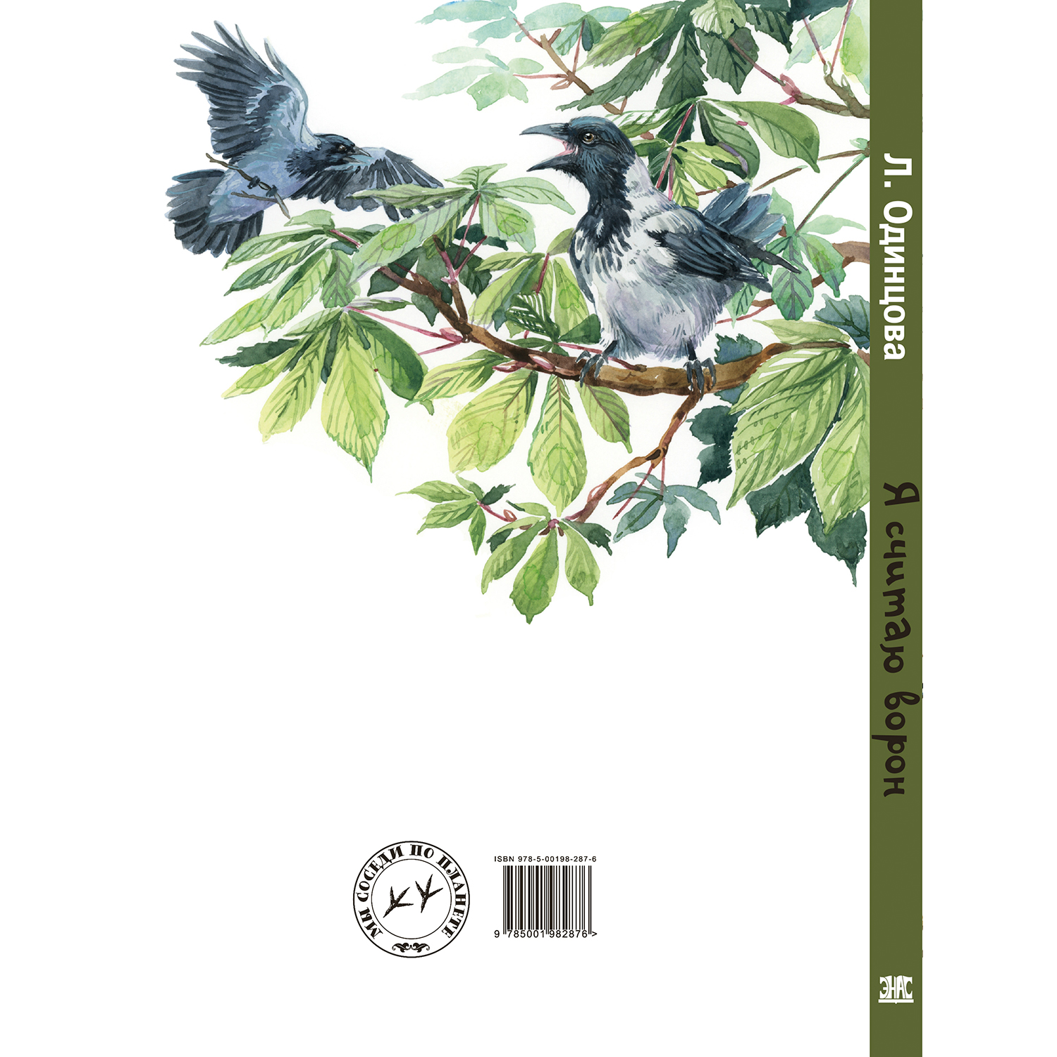 Книга ЭНАС-книга Я считаю ворон. Две истории из жизни птиц и людей - фото 9