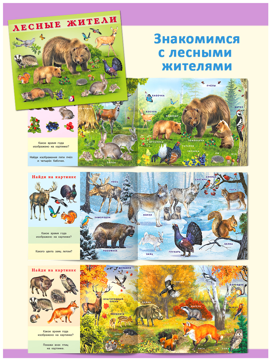 Книги Фламинго Учим малыша: буквы цифры животные растения Первые знания для детей и малышей - фото 7