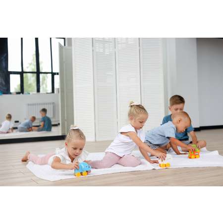 Каталка ElBascoToys