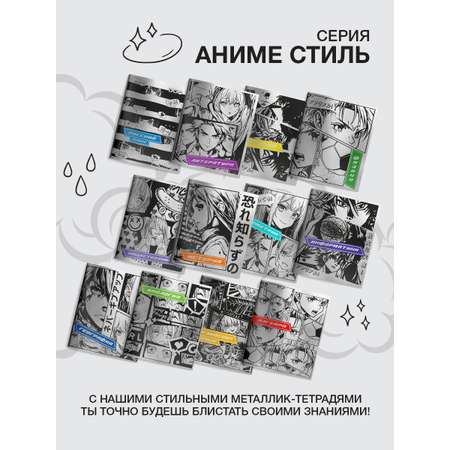 Тетрадь SCHOOLFORMAT 48 лист. 12 шт.