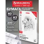 Художественная бумага Brauberg 40 лист.