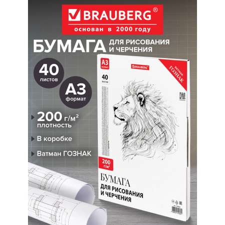 Художественная бумага Brauberg 40 лист.