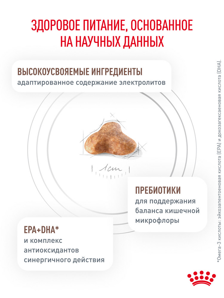 Корм для собак ROYAL CANIN породы французский бульдог 9кг - фото 5