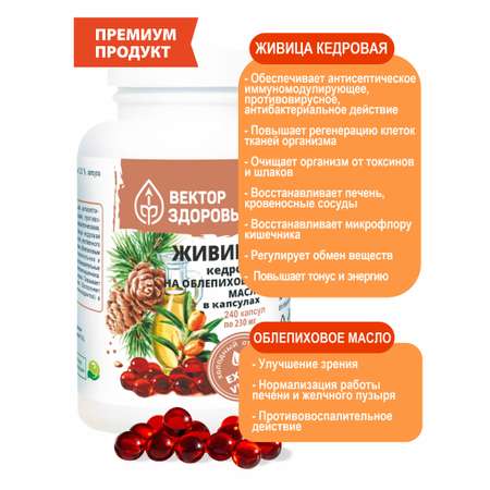 Растительные концентраты Алтайские традиции Живица кедровая на облепиховом масле 240 капсул