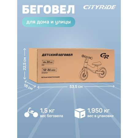 Двухколесный беговел CITYRIDE