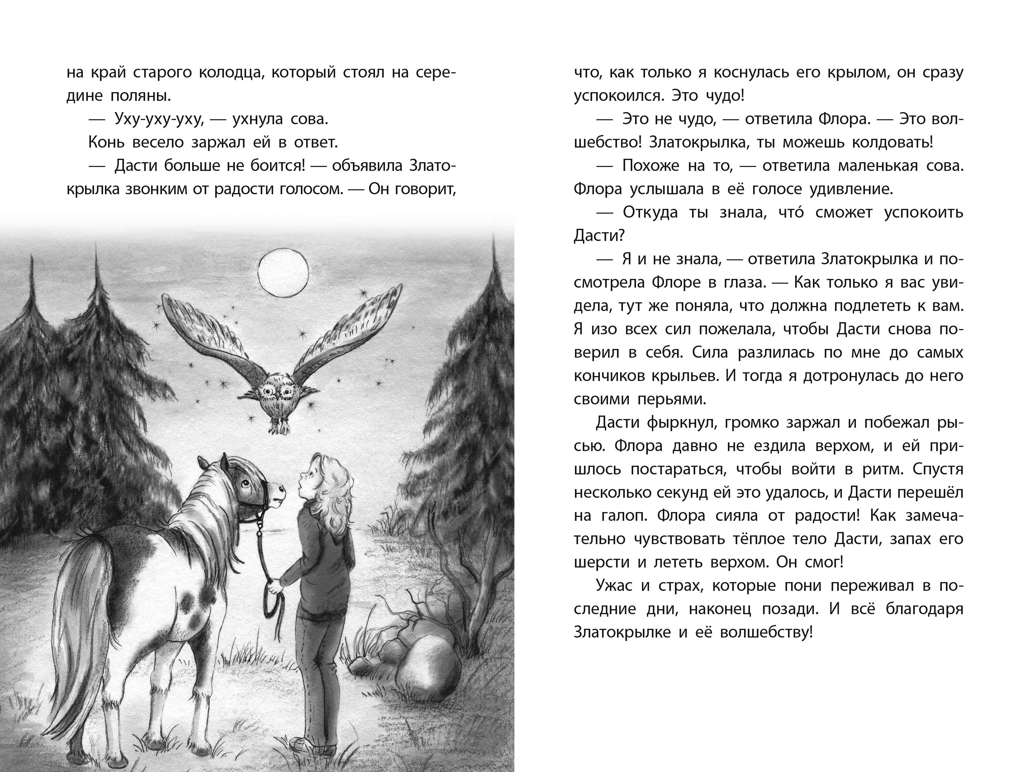 Книга Качели Золотая тайна - фото 9