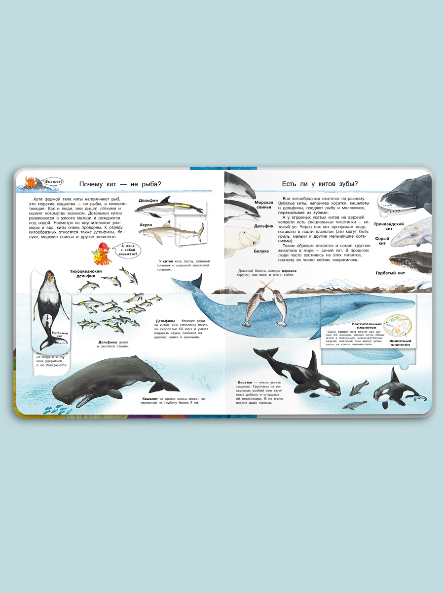 Книга Омега-Пресс Энциклопедия для детей с окошками Мир морских животных - фото 13
